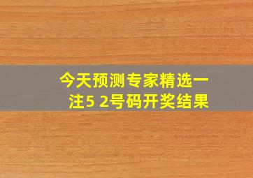 今天预测专家精选一注5 2号码开奖结果